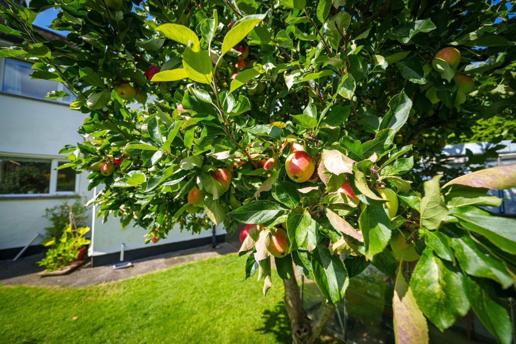Apple Byrd - Short Stroll Into Kendal Town Centre Vila Exterior foto